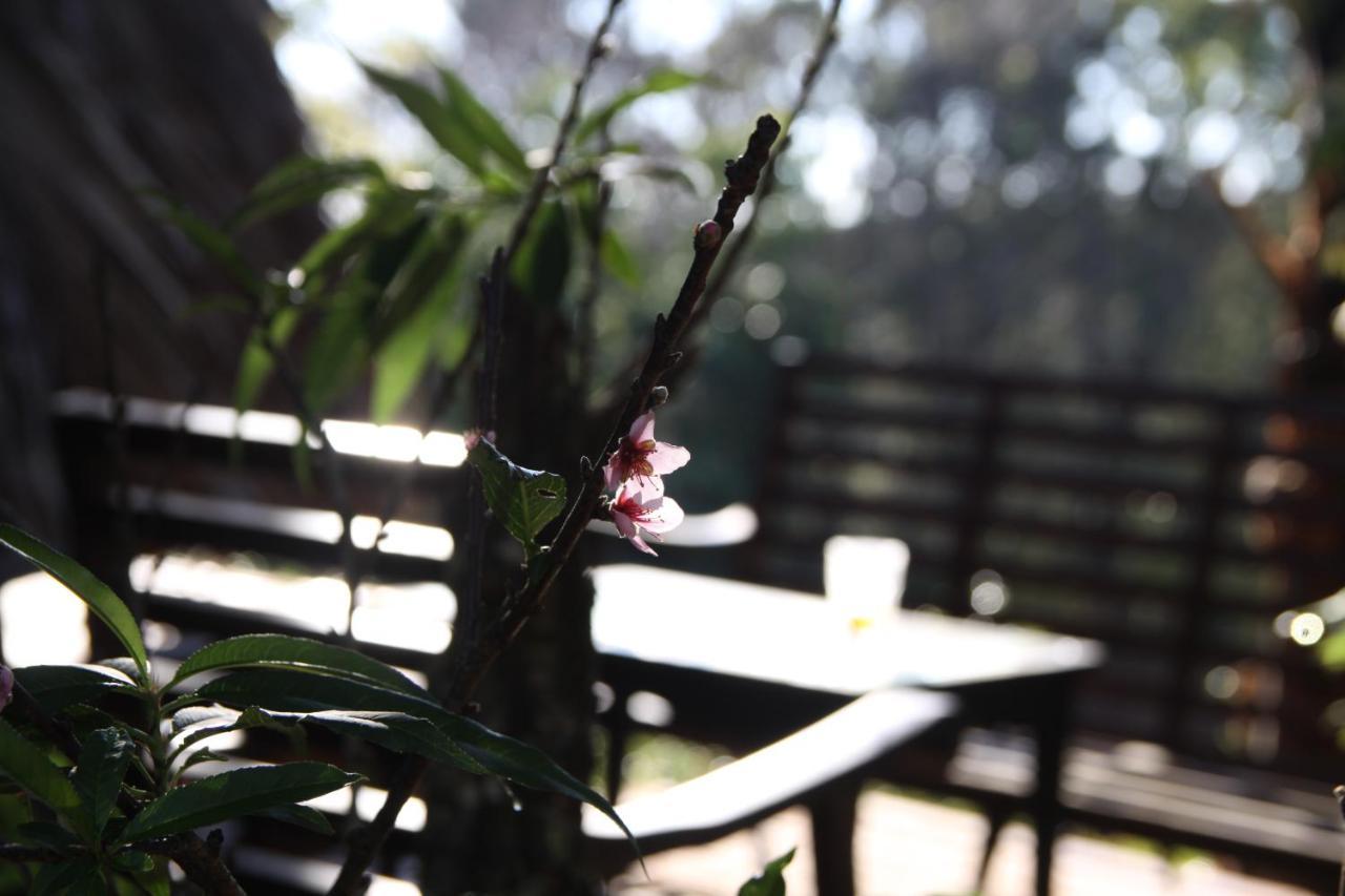 L'Amant Homestay Dalat Exteriör bild
