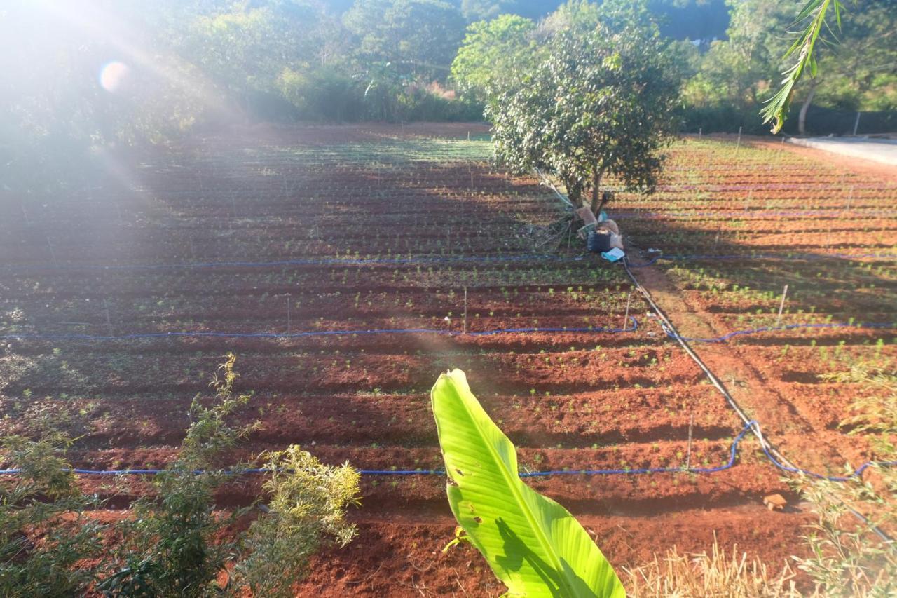L'Amant Homestay Dalat Exteriör bild