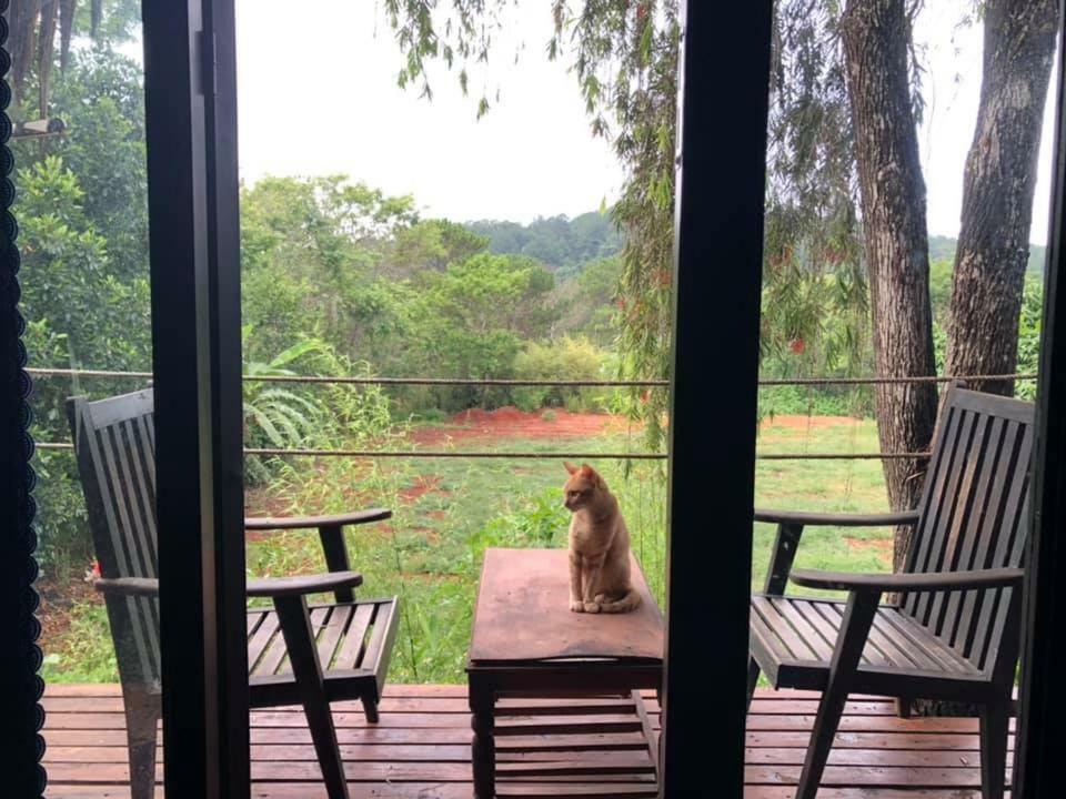L'Amant Homestay Dalat Exteriör bild